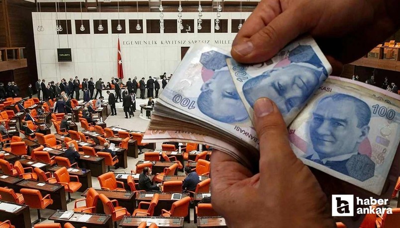 TBMM'de kabul edildi! Cezası 700 liradan 25 bin liraya yükseltildi