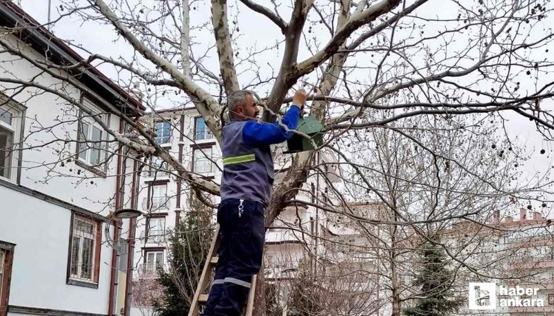 Kahramankazan Belediyesi parkları kuş yuvalarıyla süsledi