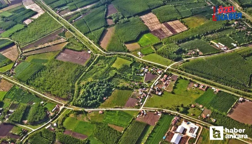 Ajda bilezik parasına tapulu arsa! Milli Emlak Ankara dahil 46 ilde hazine arazisi satıyor