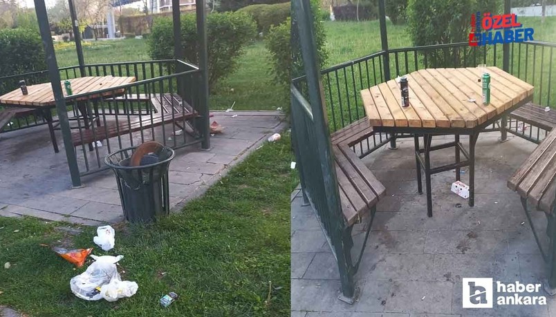 Ankara'daki parkların hali içler acısı! Çöplerini etrafa atanlara tepki büyüyor