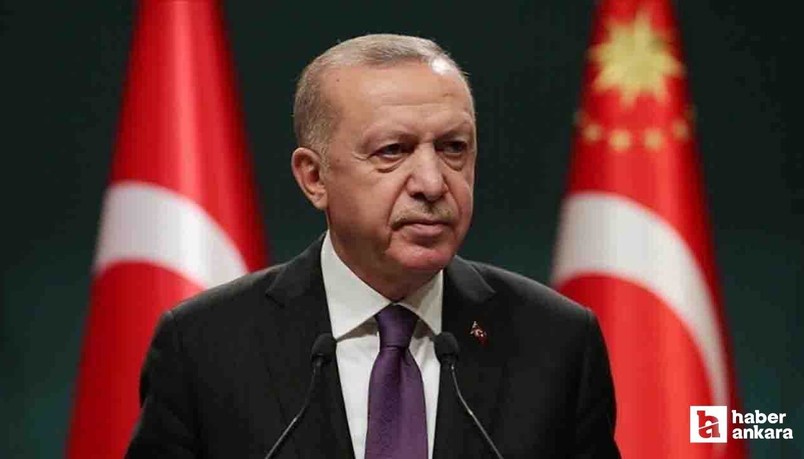 Cumhurbaşkanı Erdoğan: 'Terör belasından kurtulacağız, her an müjde alabiliriz'