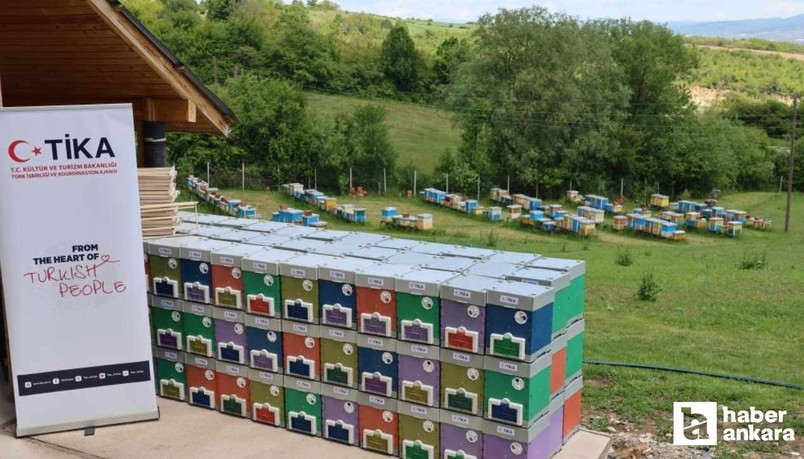 TİKA'dan Kosova'ya destek: Ana arı üretim merkezleri kuruldu
