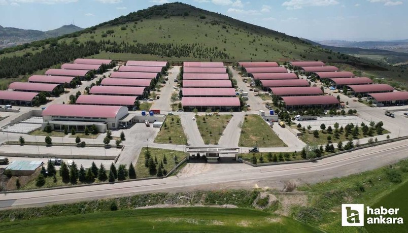 Altındağ Belediyesi, Kurban Bayramı hazırlıklarını tamamladı