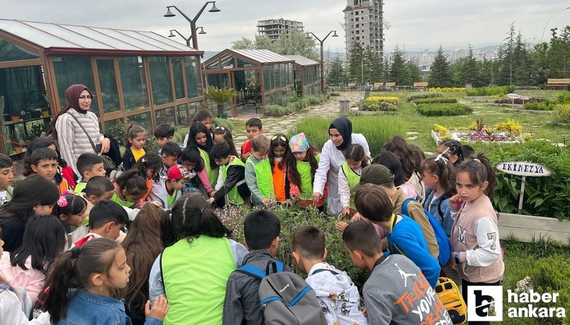 Pursaklar Belediyesi Endemik Vadi öğrenciler için eğitim mekanı oldu