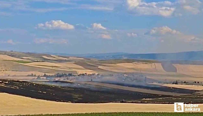 Çorum'da tarlayı yakan zanlı 96 saatlik takiple yakalandı