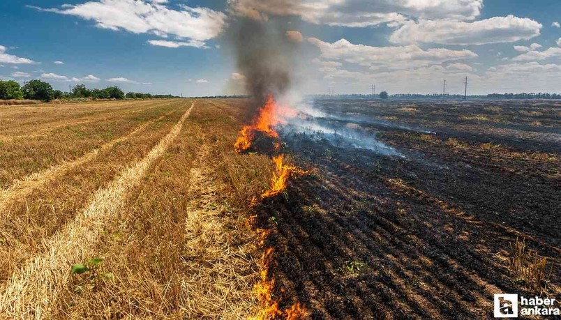 Ankara Büyükşehir Belediyesi'nden anız uyarısı!