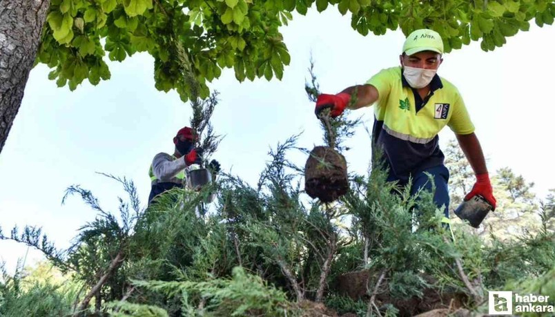 ABB sıcaklara karşı personeller için yeni düzenlemeyi duyurdu!