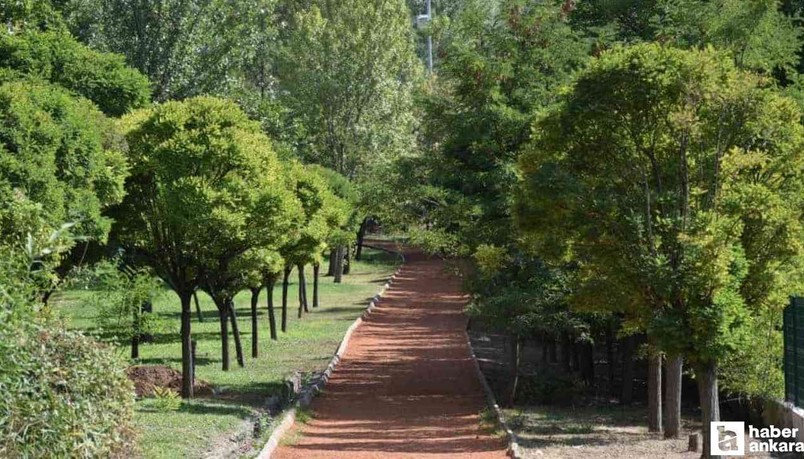 Doğa ile baş başa kalmak isteyen başkentliler için bu park şehrin göbeğinde!