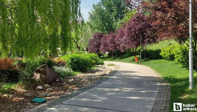 Kafa dinlemek isteyen başkentliler her hafta sonu oraya akın ediyor