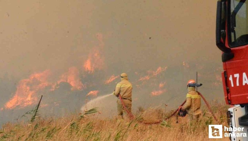 Çanakkale'deki orman yangını rüzgarın etkisiyle hızla büyüyor