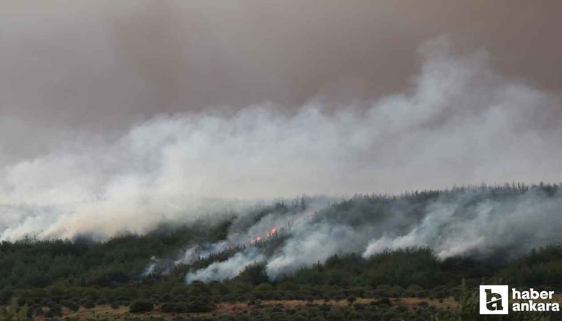 Devam eden Çanakkale Gelibolu yangını dron ile görüntülendi!