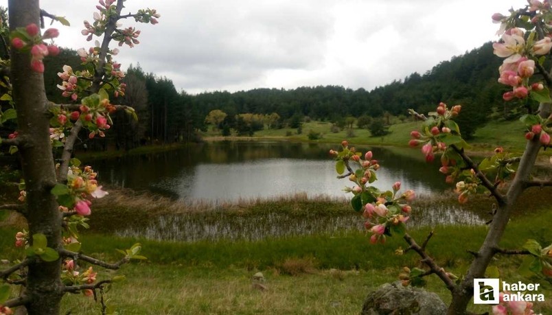Heyelan sonucu oluşmuş! Ankara’nın doğa harikasına ziyaretçi akını!