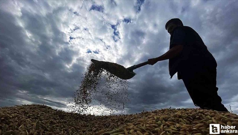 Çiftçilerin destekleme ödemeleri hesaplara yatırılıyor!
