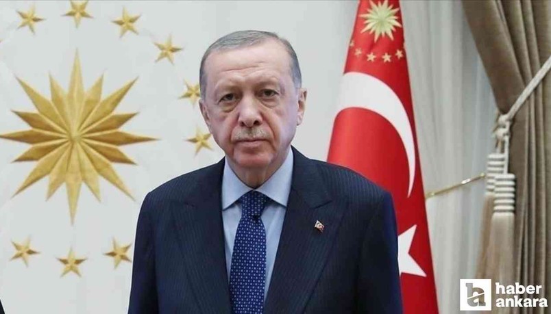 Cumhurbaşkanı Erdoğan, Ali Mahir Başarır'a manevi tazminat davası açtı