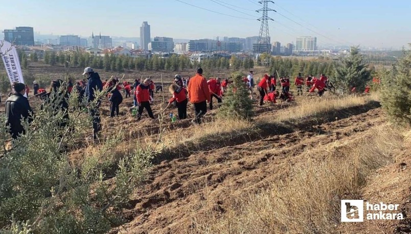 Ankara'da Akut Şehitleri anısına 3 hatıra ormanı