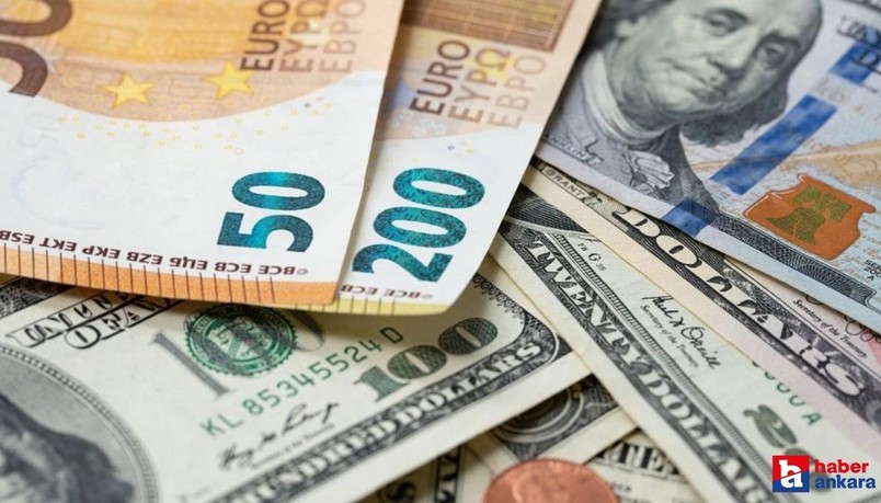 Dolar mı yoksa euro mu daha çok kazandıracak? Uzman ekonomistler öyle bir açıklama yaptı ki