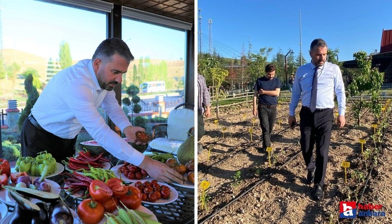 Pursaklar Belediyesi, ata tohumları ve tarım alanındaki çalışmalarını güçlendiriyor!