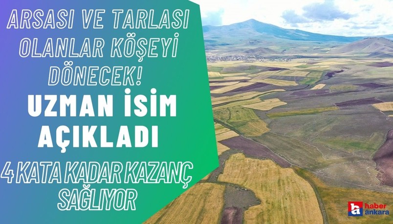 Arsası ve tarlası olan Ankaralılar köşeyi dönecek! Uzman isim açıkladı 4 kata kadar kazanç sağlıyor
