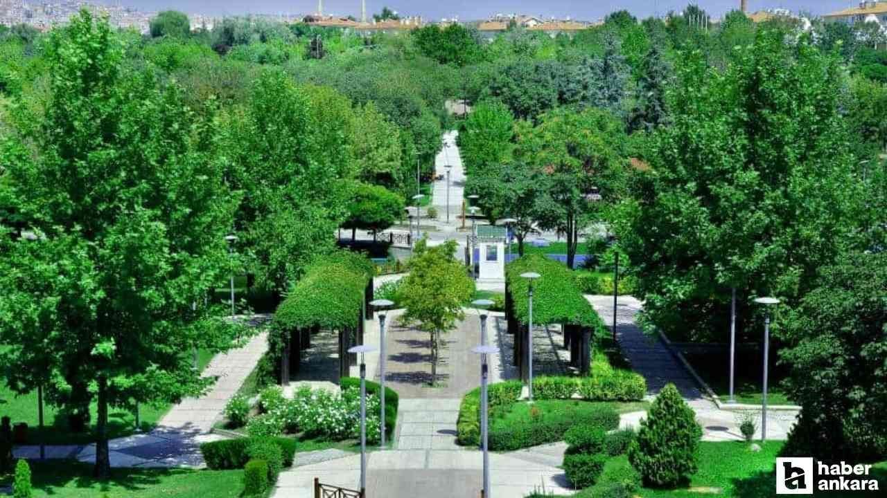 Başkentlilerin sıcak havada serinlemek için kaçacağı 2 adres! - Resim: 2