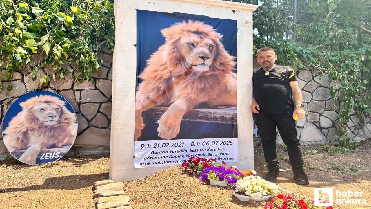 Öldürülen Aslan Zeus'un sahibi Ankara'da temsili mezar yaptırdı - Resim: 2