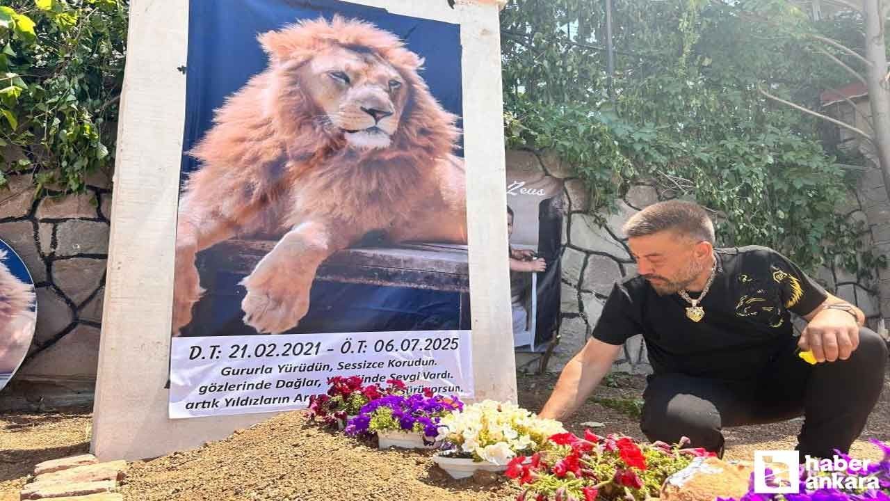 Öldürülen Aslan Zeus'un sahibi Ankara'da temsili mezar yaptırdı - Resim: 3