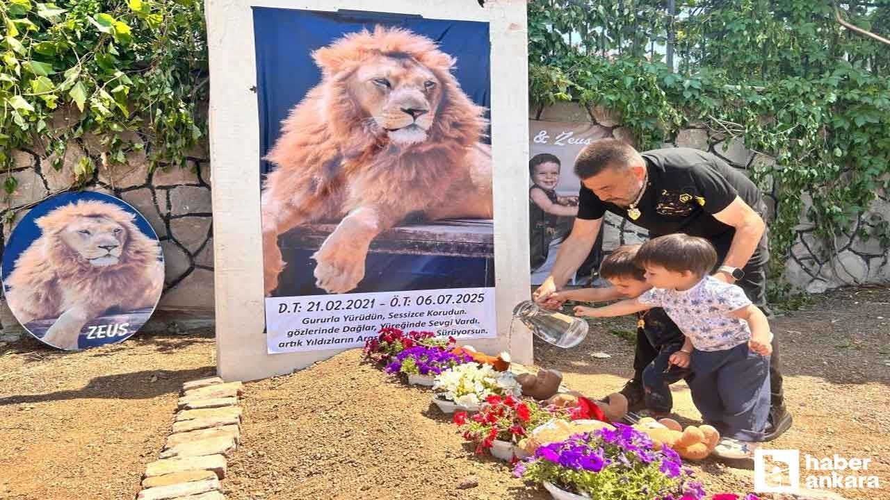 Öldürülen Aslan Zeus'un sahibi Ankara'da temsili mezar yaptırdı - Resim: 4