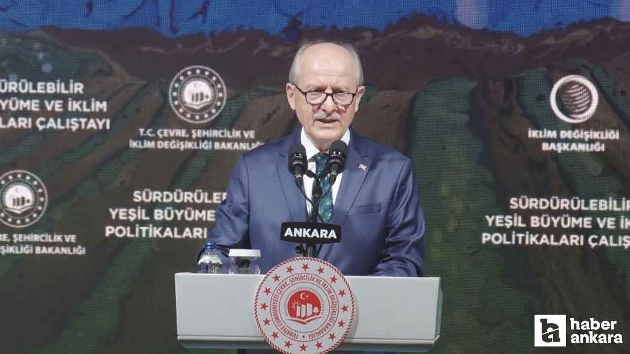 Yeşil Büyüme ve İklim Politikaları Çalıştayı, Ankara'da düzenlendi - Resim: 3